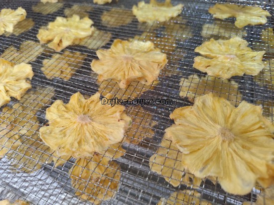 pineapple drying machine