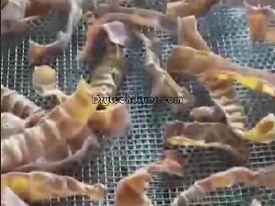 Bamboo shoot dryer machine