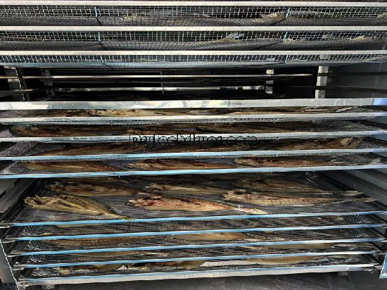 Drying  fish use heat pump dryer at low temperature