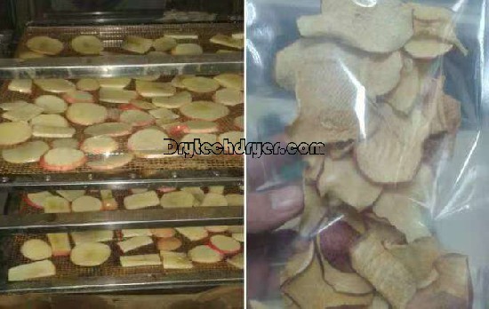 Apple dryer: a magical machine that turns fresh apples into delicious and long-lasting dried fruits