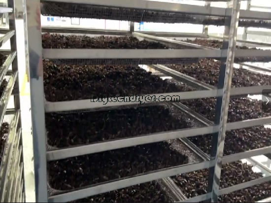 Advantages of cricket drying with heat pump dryer