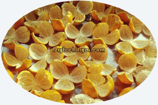Dry oranges with a Drytech heat pump dryer