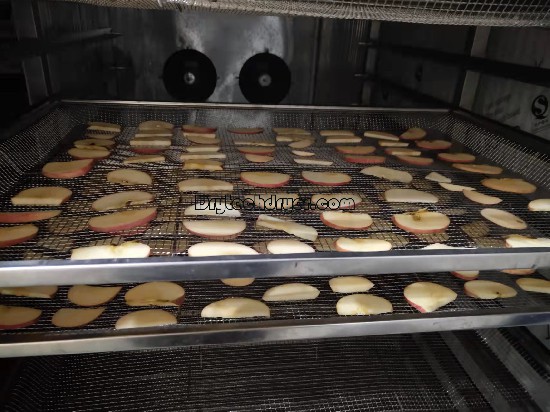 Drying apple with Drytech heat pump dryer