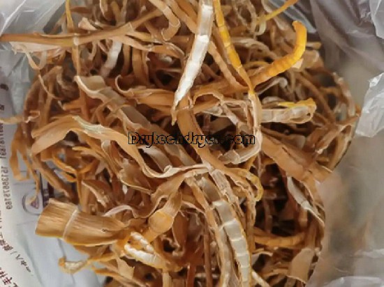Energy - Saving Heat Pump Dryer: Ideal for Producing High - Quality Bamboo Shoots