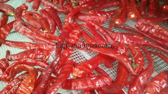 Use Drytech heat pump dryer for chili drying