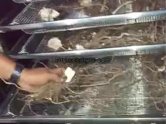 Kava dryer machine
