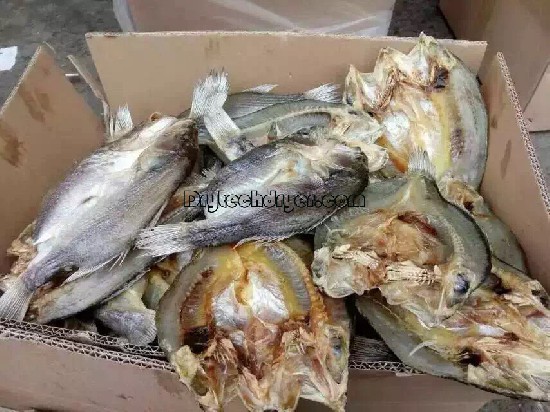 Using Drytech heat pump dryer to dry fish