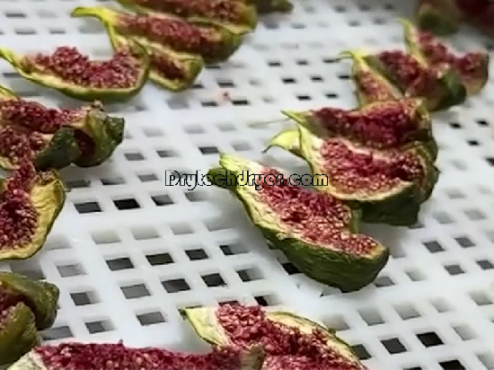 Fig dryer machine