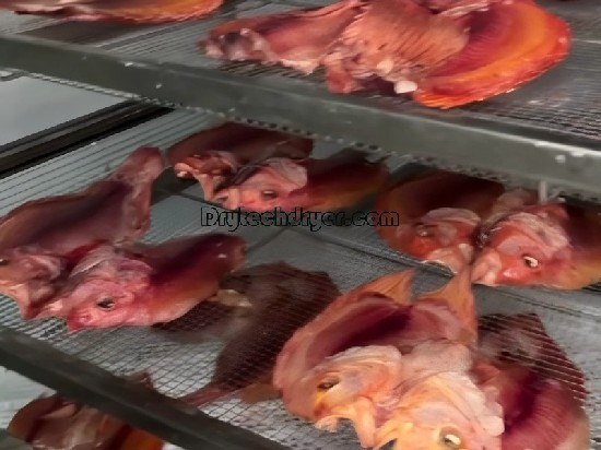 Drying fish use Drytech heat pump dryer
