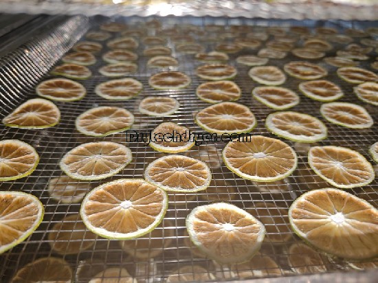 Drying lemons using Drytech heat pump dryer