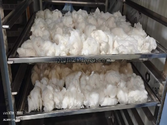 Drying flowers with a Drytech heat pump dryer